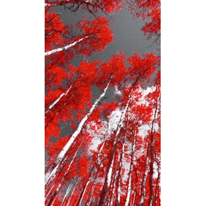 高清风景474
