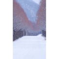 高清风景477