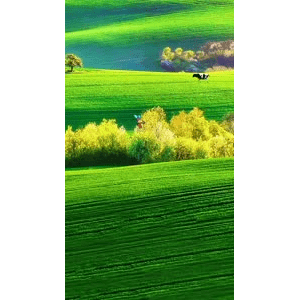 高清风景483