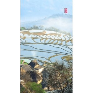 高清风景493