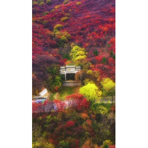 高清风景494