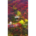 高清风景494