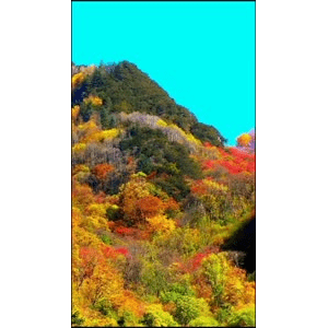 高清风景497