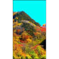高清风景497
