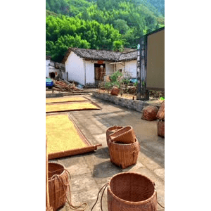 高清风景498