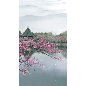 高清风景501