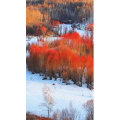 高清风景504