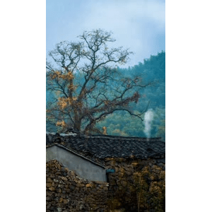 高清风景506