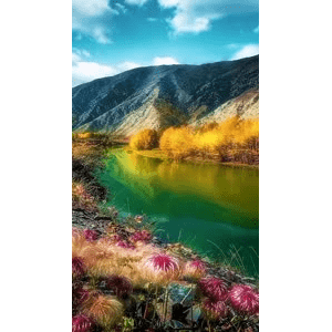 高清风景512