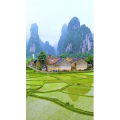 高清风景521