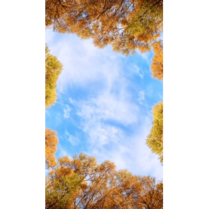 高清风景522