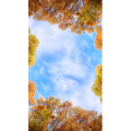 高清风景522