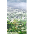 高清风景524