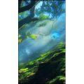 高清风景537