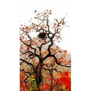 高清风景541