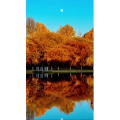 高清风景547