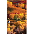 高清风景550