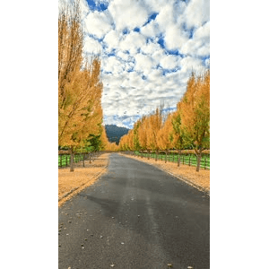 高清风景553