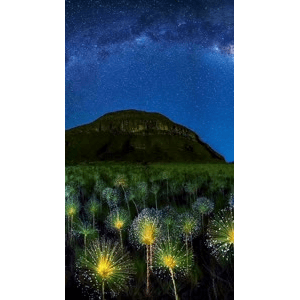 高清风景556