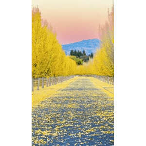 高清风景558