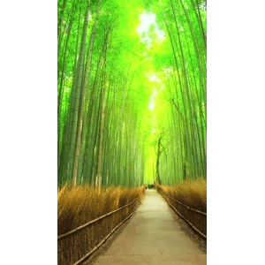 高清风景561