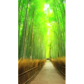 高清风景561
