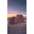 高清风景563