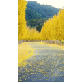 高清风景566