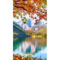 高清风景567
