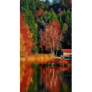 高清风景568