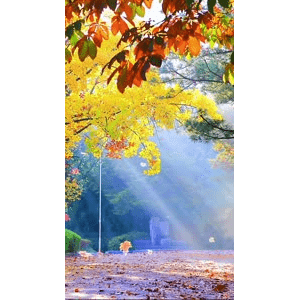 高清风景572