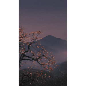 高清风景574