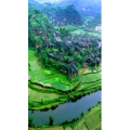 高清风景577