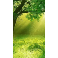 高清风景580