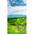 高清风景581