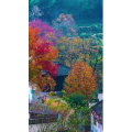 高清风景586