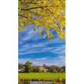 高清风景590