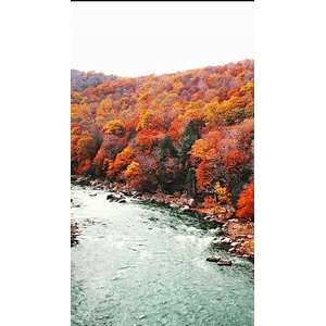 高清风景592