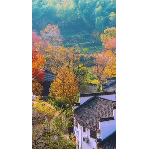 高清风景593