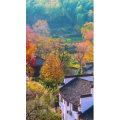 高清风景593