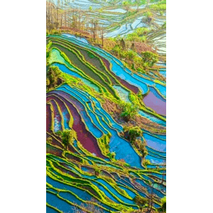 高清风景610