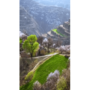 高清风景616