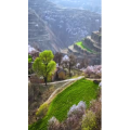 高清风景616
