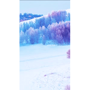 高清风景617
