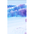 高清风景617