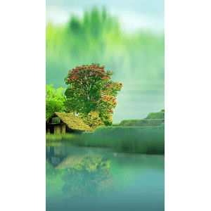 高清风景624
