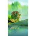 高清风景624