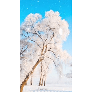 高清风景640