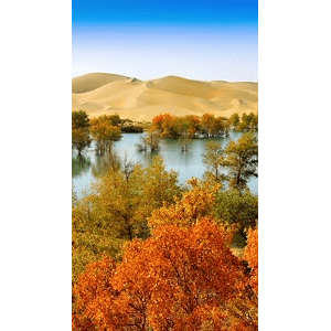 高清风景641
