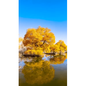 高清风景642